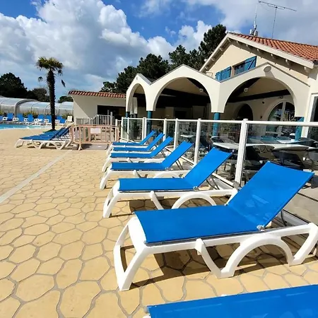 L'idesia -
